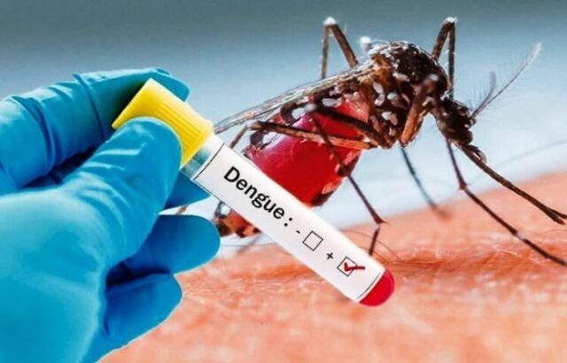 Ilustrasi - waspada Demam Berdarah Dengue atau DBD. (Istimewa)