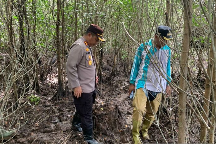 Pencarian warga yang hilang di hutan bakau