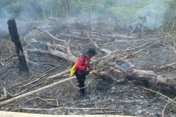 Ilustrasi - Petugas dari Pusdalops BPBD Kabupaten Penajam Paser Utara, Kaltim, memadamkan api saat terjadi kebakaran lahan di kabupaten tersebut pada 2021 (Antara/HO Pusdalops Kabupaten PPU)