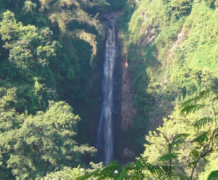 Air Terjun Umbulan dilihat dari jauh, terselip di area hutan Probolinggo. (Foto: Krasten Assman / Google Map)