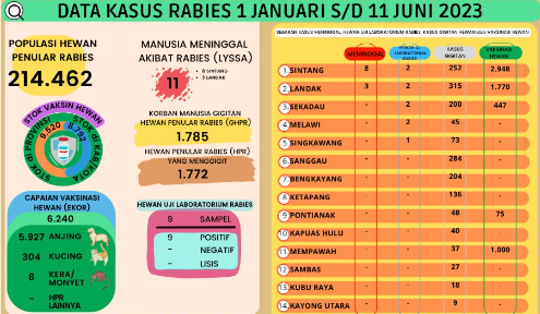 Infografis - Data kasus rabies di Kalbar sepanjang Januari hingga Juni 2023. (Dinkes Prov Kalbar)