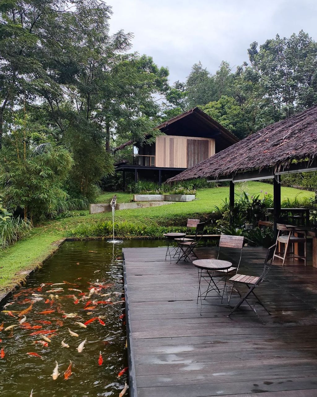 Penginapan Terrario Tangkahan yang merupakan milik dari actor Nicholas Saputra. (Foto: Instagram @nicholassaputra)