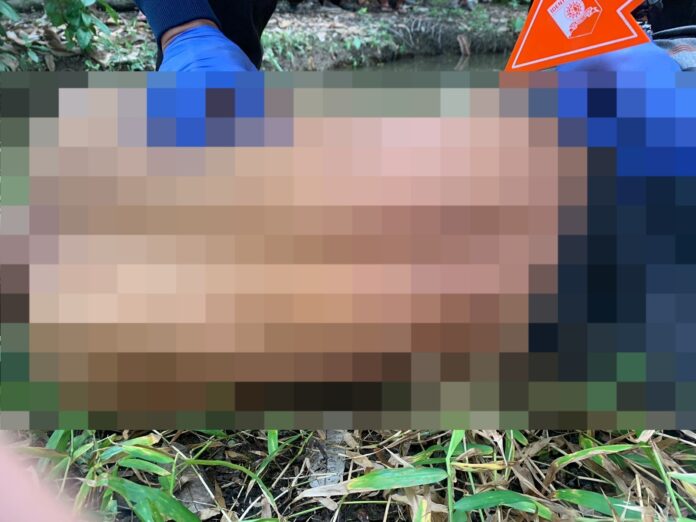 Polisi sedang melakukan olah TKP terhadap penemuan mayat tergantung di Pohon, di Desa Kuala Dua, Kecamatan Sungai Raya, Kabupaten Kubu Raya. (Istimewa)