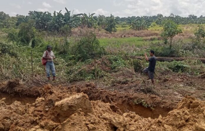 Lahan pertanian di Dusun Sumber Rejo, Desa Sandai, Kecamatan Sandai, Kabupaten Ketapang, diduga telah beralih fungsi menjadi izin konsesi. Petani di sana tengah berjuang mempertahankan hak mereka. (Istimewa)