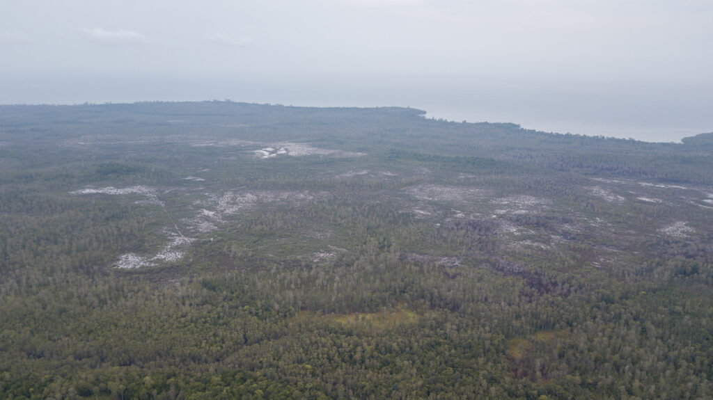 Daratan Pulau Gelam terlihat dari atas/Victor Fidelis Sentosa